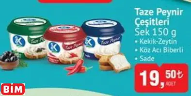 SEK TAZE PEYNİR ÇEŞİTLERİ